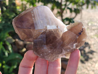 Natural Smokey Quartz Crystals x 4 From Zomba, Malawi - Toprock Gemstones and Minerals 