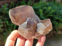 Natural Smokey Quartz Crystals x 4 From Zomba, Malawi - Toprock Gemstones and Minerals 