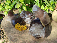 Natural Smokey Quartz Crystals x 4 From Zomba, Malawi - Toprock Gemstones and Minerals 