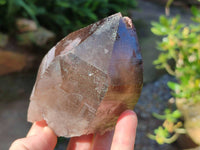 Natural Smokey Quartz Crystals x 4 From Zomba, Malawi - Toprock Gemstones and Minerals 