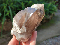 Natural Smokey Quartz Crystals x 4 From Zomba, Malawi - Toprock Gemstones and Minerals 