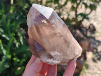 Natural Smokey Quartz Crystals x 4 From Zomba, Malawi - Toprock Gemstones and Minerals 