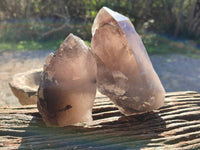 Natural Smokey Quartz Crystals x 4 From Zomba, Malawi - Toprock Gemstones and Minerals 