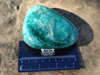Polished Emerald Mtorolite Free Forms x 12 From Mutorashanga, Zimbabwe