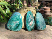 Polished Emerald Mtorolite Free Forms x 12 From Mutorashanga, Zimbabwe