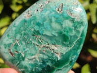 Polished Emerald Mtorolite Free Forms x 12 From Mutorashanga, Zimbabwe