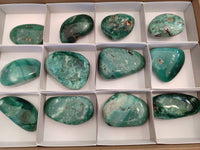 Polished Emerald Mtorolite Free Forms x 12 From Mutorashanga, Zimbabwe
