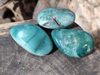 Polished Emerald Mtorolite Free Forms x 12 From Mutorashanga, Zimbabwe