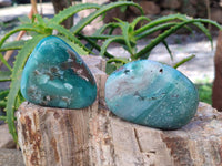 Polished Emerald Mtorolite Free Forms x 12 From Mutorashanga, Zimbabwe