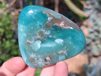 Polished Emerald Mtorolite Free Forms x 12 From Mutorashanga, Zimbabwe