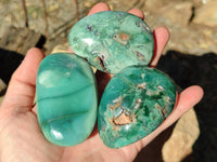 Polished Emerald Mtorolite Free Forms x 12 From Mutorashanga, Zimbabwe