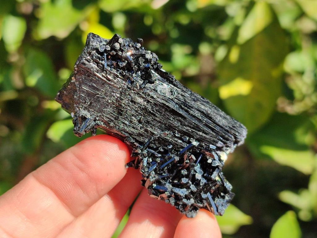 Natural Schorl Black Tourmaline Specimens x 12 From Erongo, Namibia - Toprock Gemstones and Minerals 