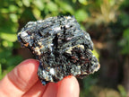 Natural Schorl Black Tourmaline Specimens x 12 From Erongo, Namibia - Toprock Gemstones and Minerals 