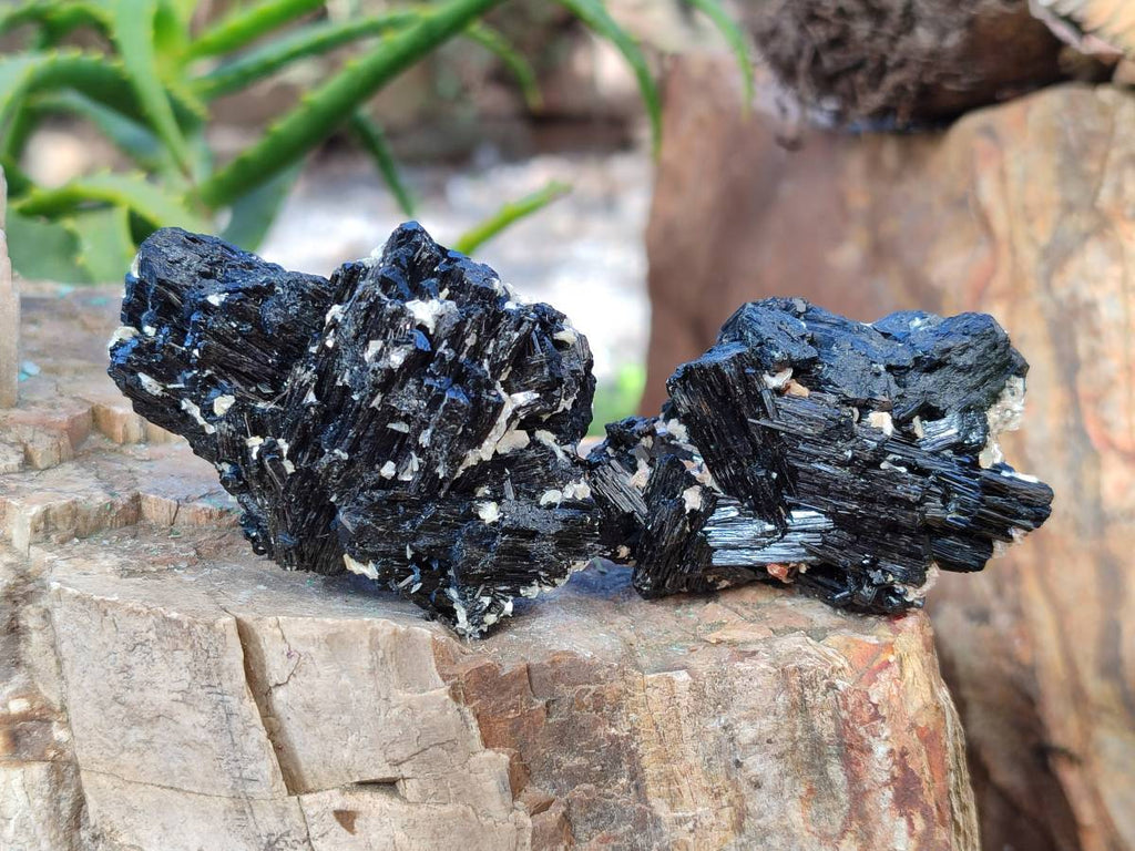 Natural Schorl Black Tourmaline Specimens x 12 From Erongo, Namibia - Toprock Gemstones and Minerals 