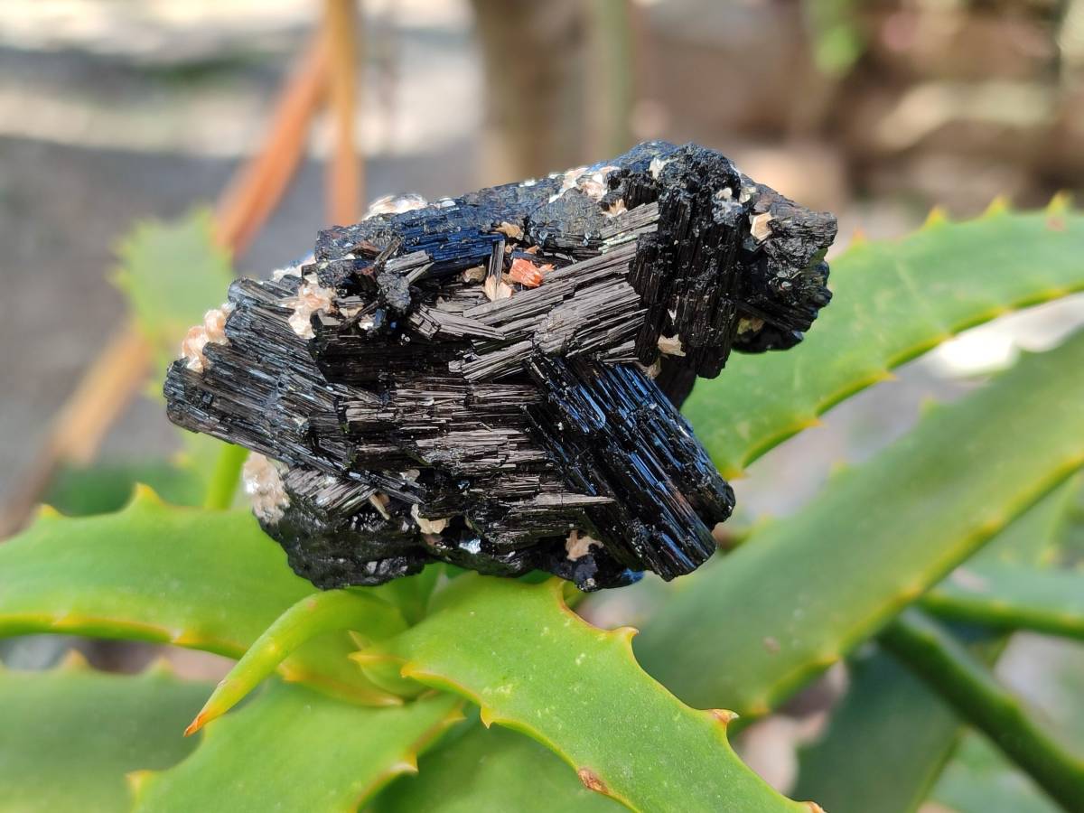 Natural Schorl Black Tourmaline Specimens x 12 From Erongo, Namibia - Toprock Gemstones and Minerals 