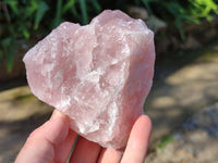 Natural Pink Rose Quartz Cobbed Specimens x 12 From North Cape, South Africa - Toprock Gemstones and Minerals 