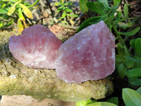 Natural Pink Rose Quartz Cobbed Specimens x 12 From North Cape, South Africa - Toprock Gemstones and Minerals 