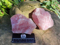Natural Pink Rose Quartz Cobbed Specimens x 12 From North Cape, South Africa - Toprock Gemstones and Minerals 