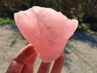 Natural Pink Rose Quartz Cobbed Specimens x 12 From North Cape, South Africa - Toprock Gemstones and Minerals 