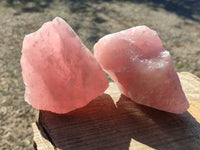 Natural Pink Rose Quartz Cobbed Specimens x 12 From North Cape, South Africa - Toprock Gemstones and Minerals 