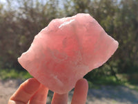 Natural Pink Rose Quartz Cobbed Specimens x 12 From North Cape, South Africa - Toprock Gemstones and Minerals 