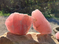 Natural Pink Rose Quartz Cobbed Specimens x 12 From North Cape, South Africa - Toprock Gemstones and Minerals 