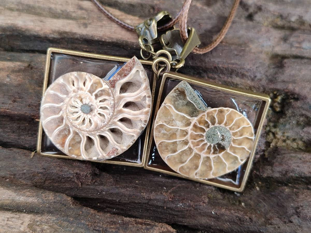 Hand Made Ammonite Pendants Set in Resin - Sold Per Item - From Southern Africa - Toprock Gemstones and Minerals 