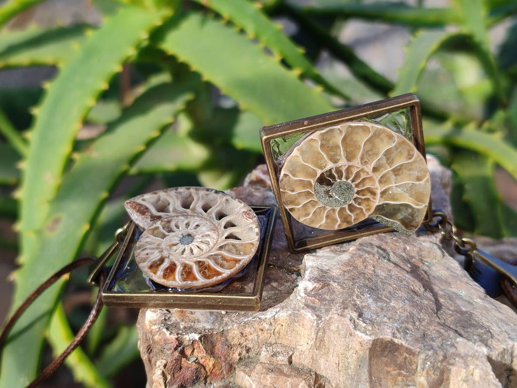 Hand Made Ammonite Pendants Set in Resin - Sold Per Item - From Southern Africa - Toprock Gemstones and Minerals 