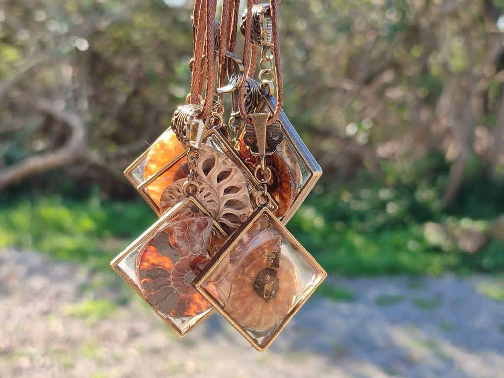 Hand Made Ammonite Pendants Set in Resin - Sold Per Item - From Southern Africa - Toprock Gemstones and Minerals 