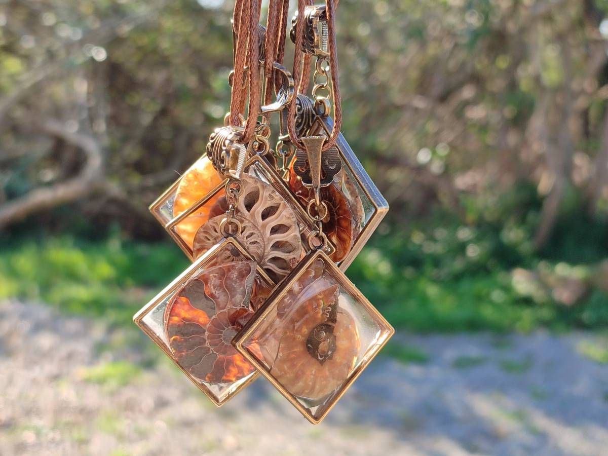 Hand Made Ammonite Pendants Set in Resin - Sold Per Item - From Southern Africa - Toprock Gemstones and Minerals 