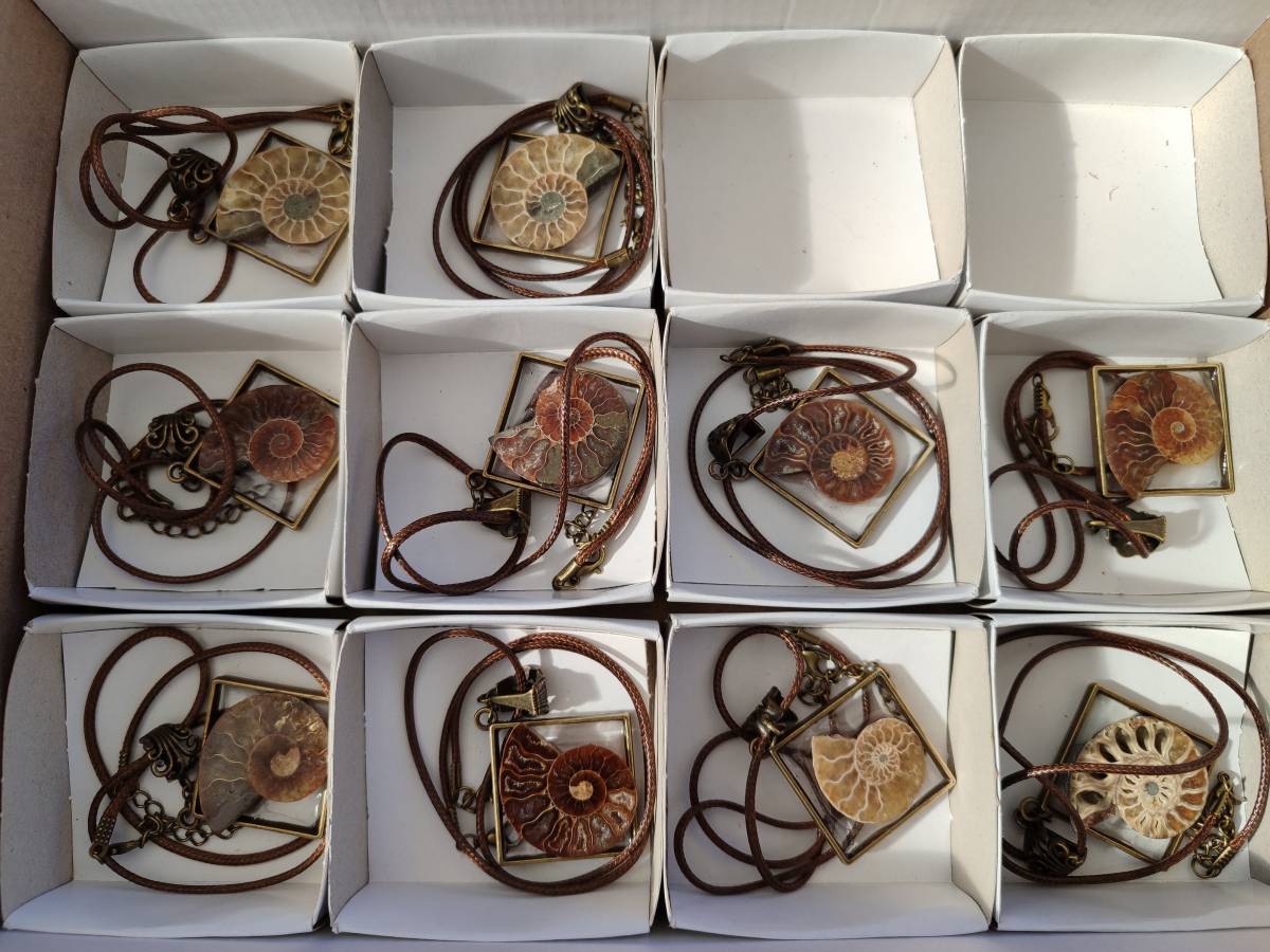 Hand Made Ammonite Pendants Set in Resin - Sold Per Item - From Southern Africa - Toprock Gemstones and Minerals 