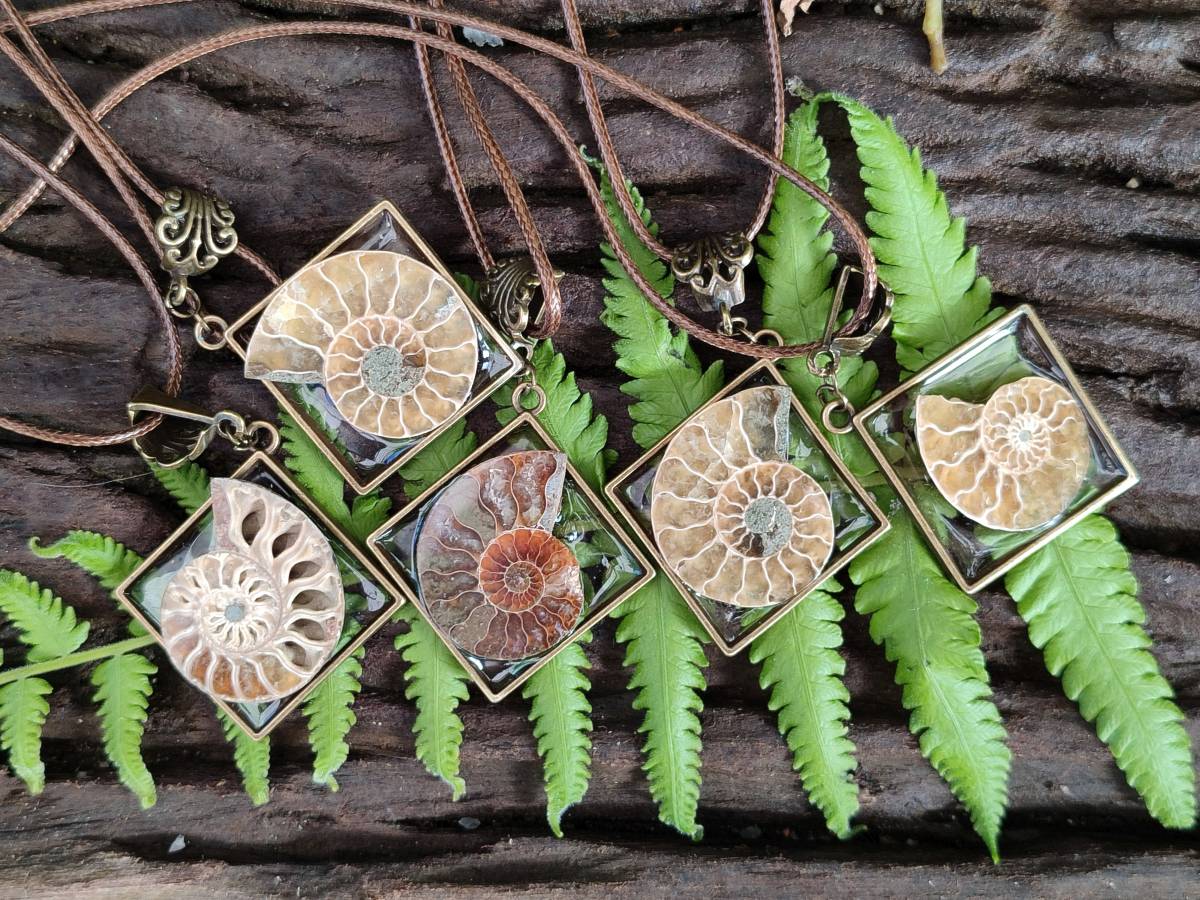Hand Made Ammonite Pendants Set in Resin - Sold Per Item - From Southern Africa - Toprock Gemstones and Minerals 