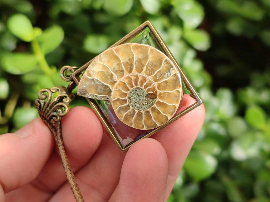 Hand Made Ammonite Pendants Set in Resin - Sold Per Item - From Southern Africa - Toprock Gemstones and Minerals 