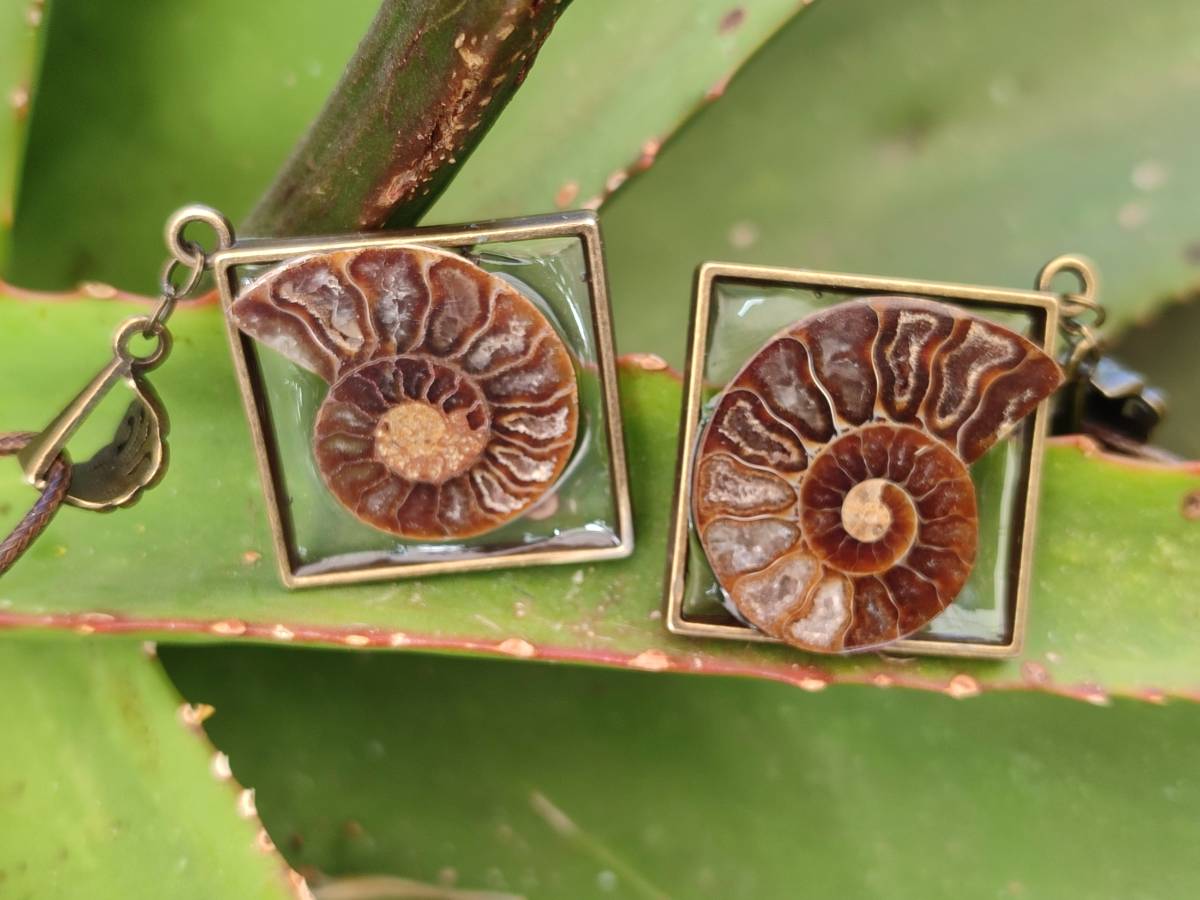 Hand Made Ammonite Pendants Set in Resin - Sold Per Item - From Southern Africa - Toprock Gemstones and Minerals 