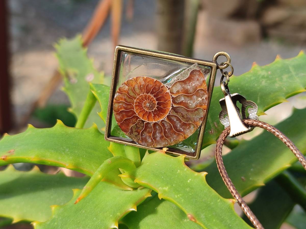 Hand Made Ammonite Pendants Set in Resin - Sold Per Item - From Southern Africa - Toprock Gemstones and Minerals 