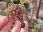 Hand Made Ammonite Pendants Set in Resin - Sold Per Item - From Southern Africa - Toprock Gemstones and Minerals 
