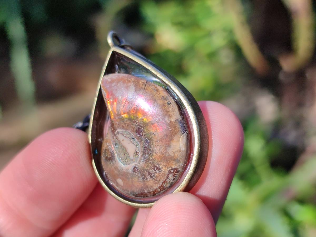 Hand Made Opalized Ammonite Pendants Set in Resin - Sold Per Item - From Southern Africa - Toprock Gemstones and Minerals 