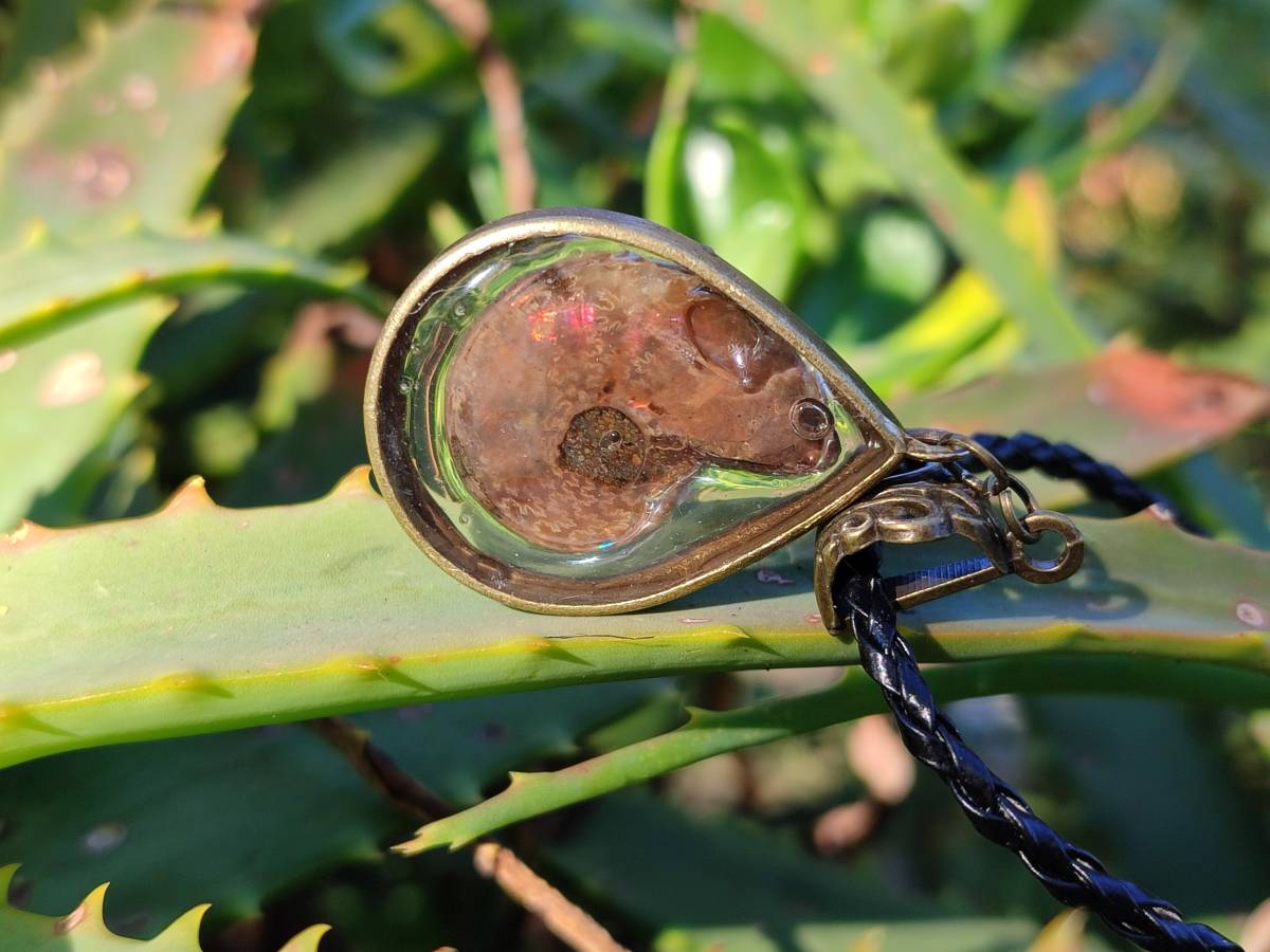 Hand Made Opalized Ammonite Pendants Set in Resin - Sold Per Item - From Southern Africa - Toprock Gemstones and Minerals 