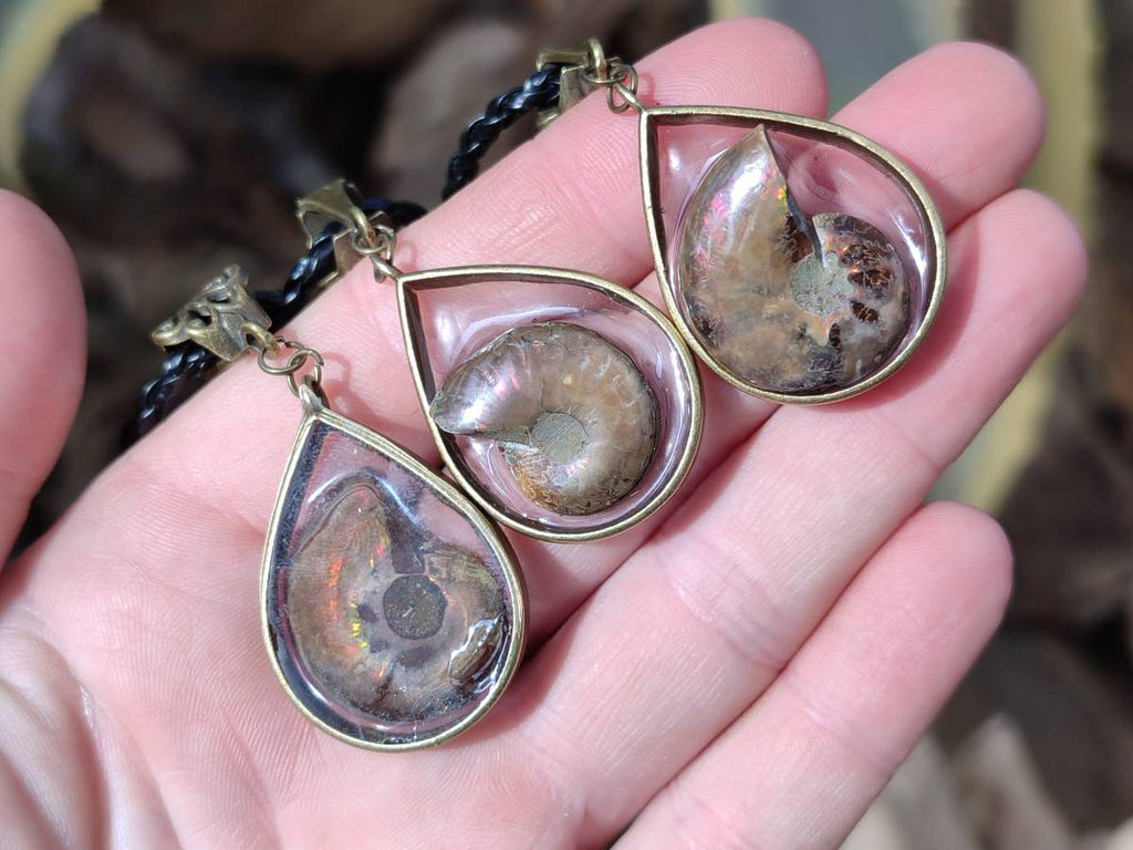 Hand Made Opalized Ammonite Pendants Set in Resin - Sold Per Item - From Southern Africa - Toprock Gemstones and Minerals 