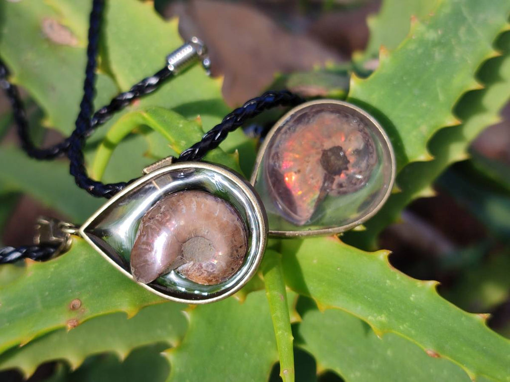 Hand Made Opalized Ammonite Pendants Set in Resin - Sold Per Item - From Southern Africa - Toprock Gemstones and Minerals 