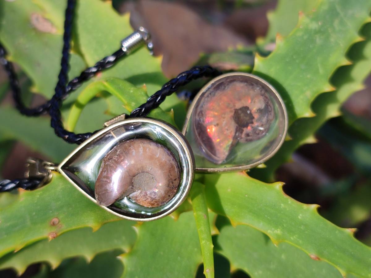 Hand Made Opalized Ammonite Pendants Set in Resin - Sold Per Item - From Southern Africa - Toprock Gemstones and Minerals 