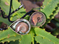 Hand Made Opalized Ammonite Pendants Set in Resin - Sold Per Item - From Southern Africa - Toprock Gemstones and Minerals 