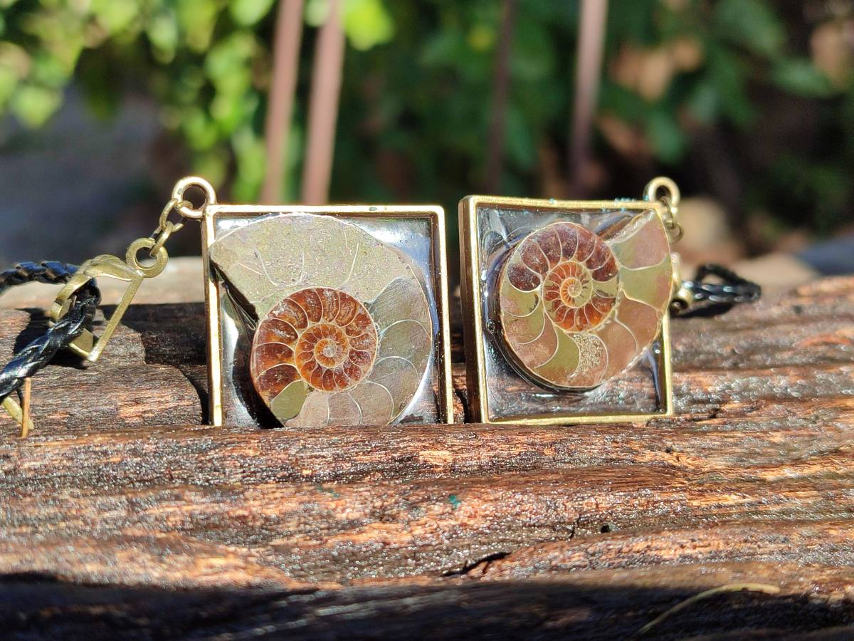 Hand Made Ammonite Pendants Set in Resin - Sold Per Item - From Southern Africa - Toprock Gemstones and Minerals 