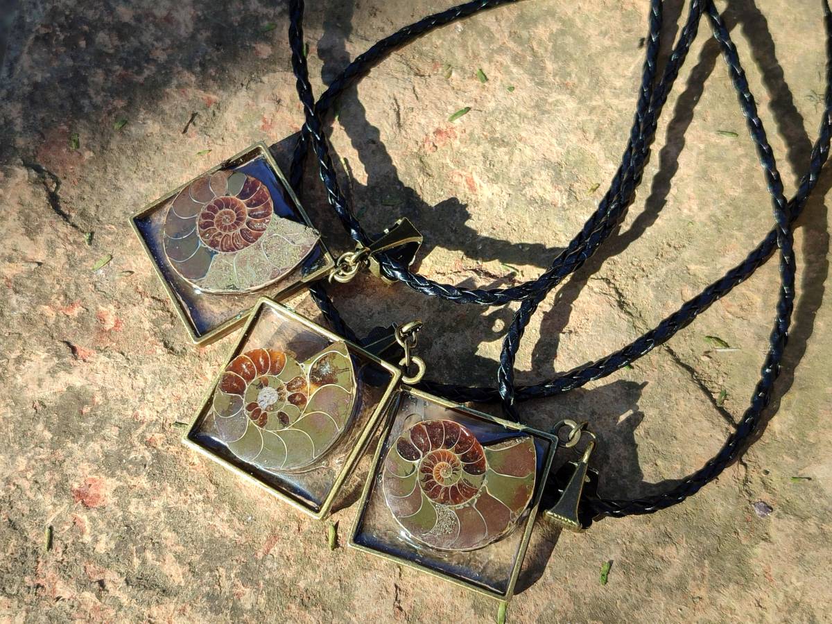 Hand Made Ammonite Pendants Set in Resin - Sold Per Item - From Southern Africa - Toprock Gemstones and Minerals 