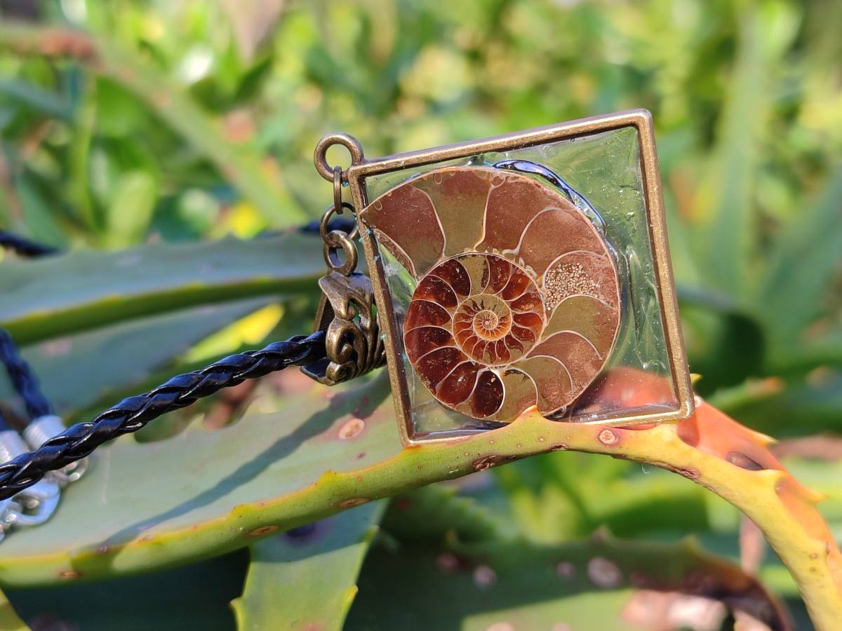 Hand Made Ammonite Pendants Set in Resin - Sold Per Item - From Southern Africa - Toprock Gemstones and Minerals 