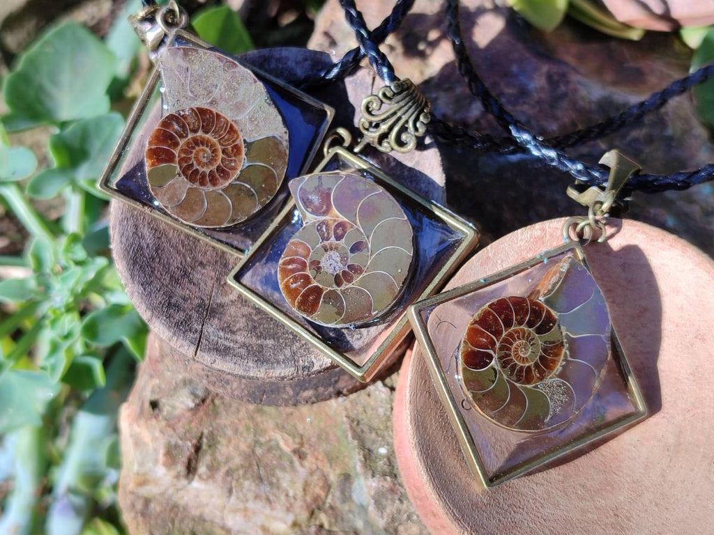 Hand Made Ammonite Pendants Set in Resin - Sold Per Item - From Southern Africa - Toprock Gemstones and Minerals 