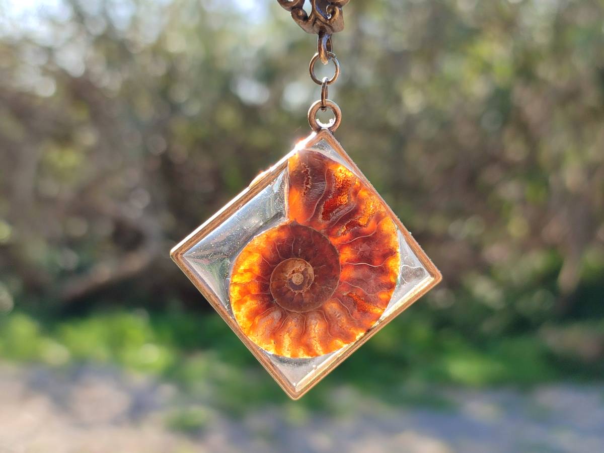 Hand Made Ammonite Pendants Set in Resin - Sold Per Item - From Southern Africa - Toprock Gemstones and Minerals 