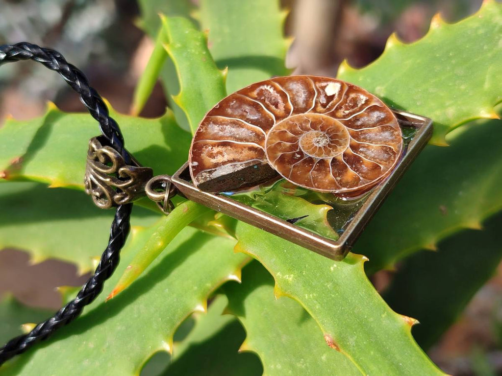 Hand Made Ammonite Pendants Set in Resin - Sold Per Item - From Southern Africa - Toprock Gemstones and Minerals 