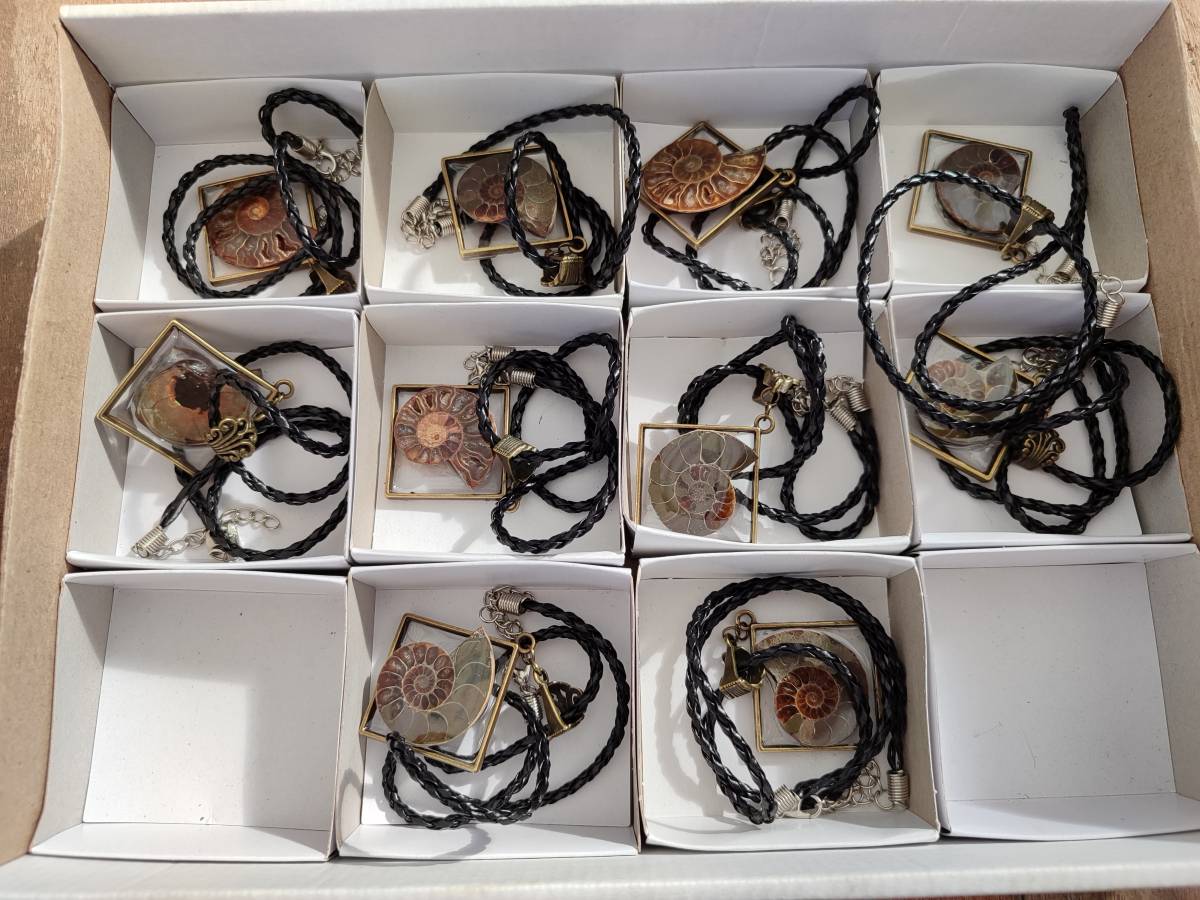 Hand Made Ammonite Pendants Set in Resin - Sold Per Item - From Southern Africa - Toprock Gemstones and Minerals 