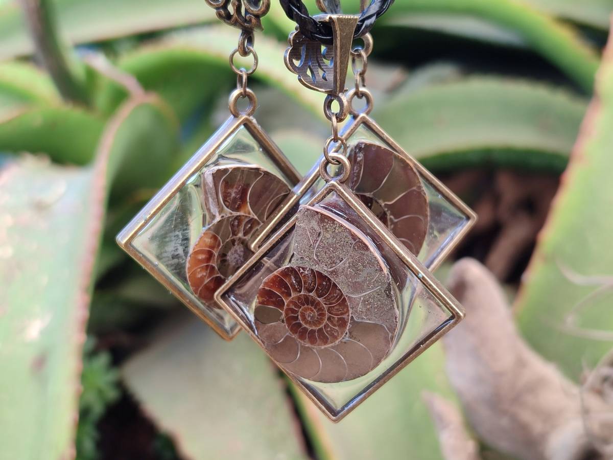 Hand Made Ammonite Pendants Set in Resin - Sold Per Item - From Southern Africa - Toprock Gemstones and Minerals 